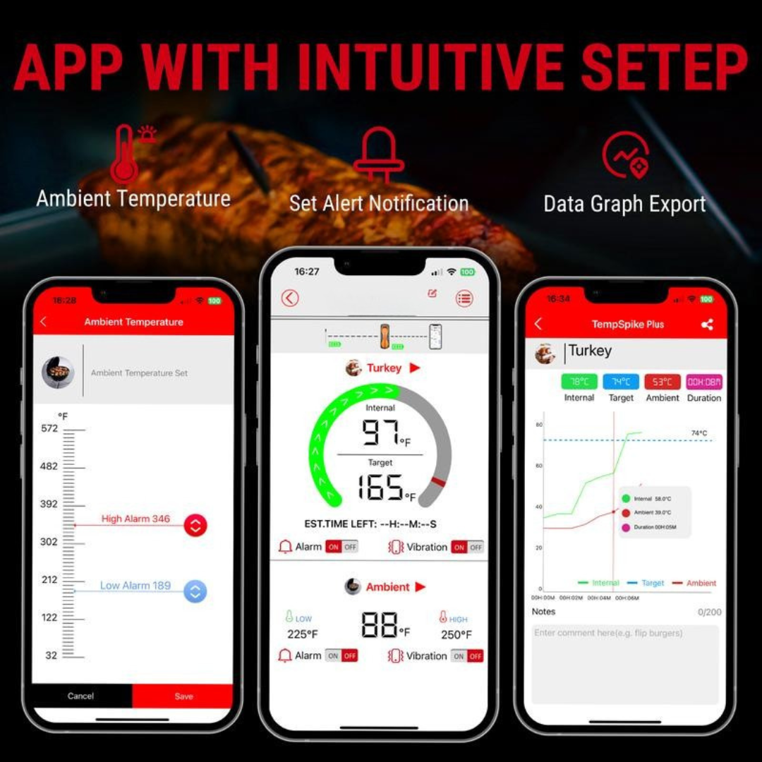 TempSync Thermometer